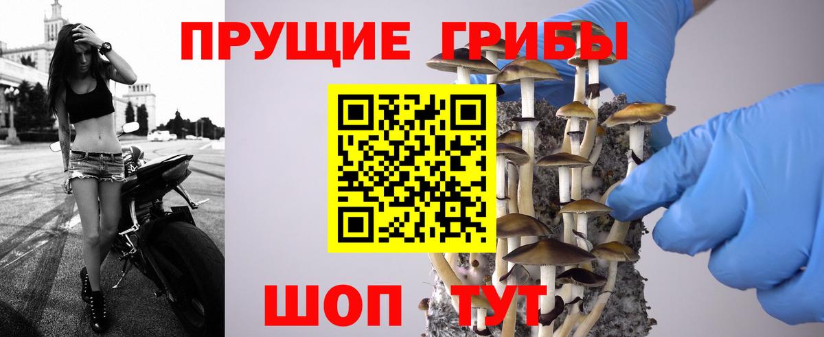 Псилоцибиновые грибы мухоморы  Псилоцибиновые грибы Psilocybine cubensis  Вход с VPN  Луга 